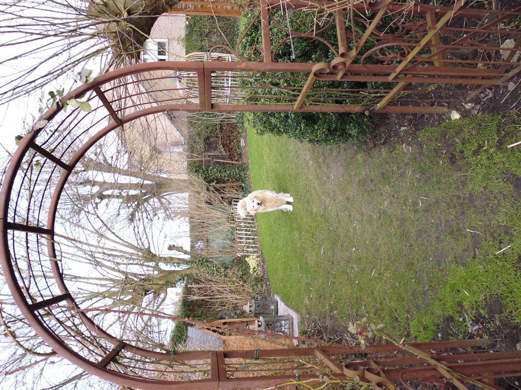 De Vijf Zuilen Bed & Breakfast 3*